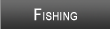 Lake Winnibigoshish Fishing